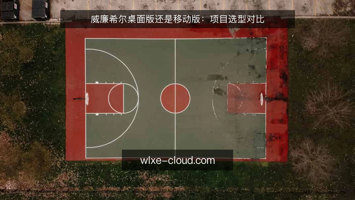 威廉希尔桌面版还是移动版：项目选型对比