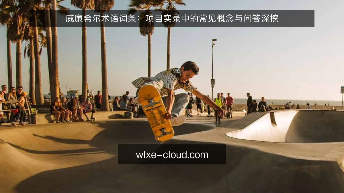 威廉希尔术语词条：项目实录中的常见概念与问答深挖